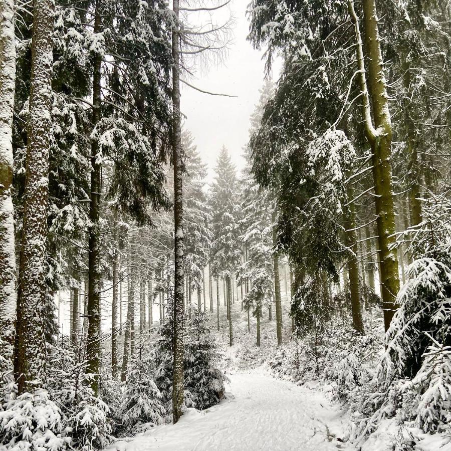 Harz Is Calling Goslar Kültér fotó